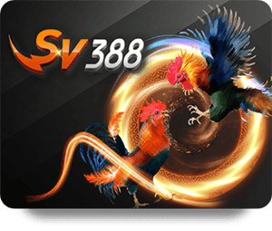 Best 33WIN Live Dealer Hot Promotions Today